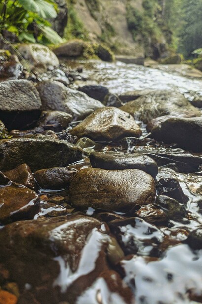 Siguió a paso errante por entre los bultos sofocados en lascivia; y se perdió en el bosque