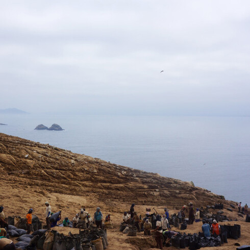 Dinh Q. Lê. The Colony. Courtesy of Museum Boijmans Van Beuningen 