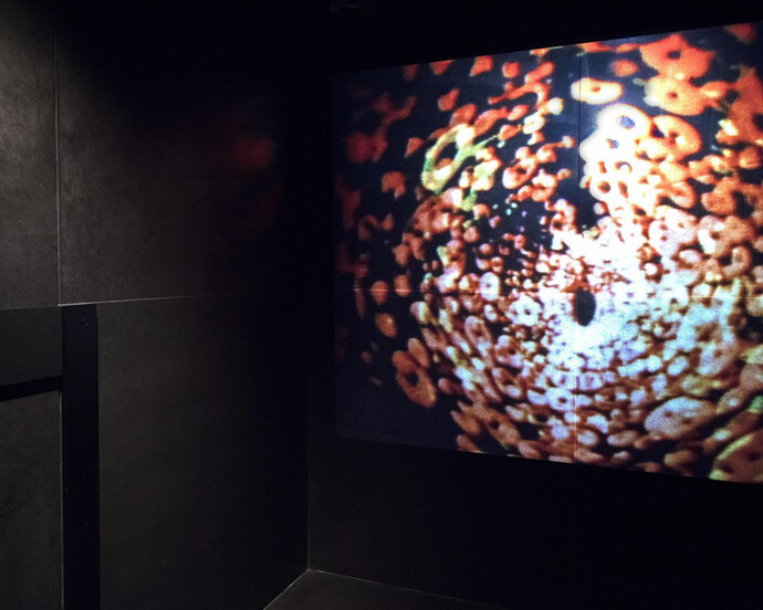 Toshio Matsumoto. Courtesy of Empty Gallery
