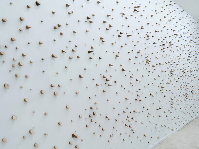 Camilo Guinot, Texto feral, vista de exhibición. Cortesía de Quimera Galería