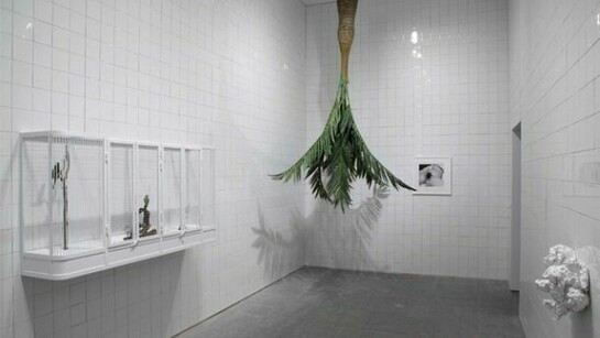 Rosemarie Trockel, Untitled, 2012 © Rosemarie Trockel