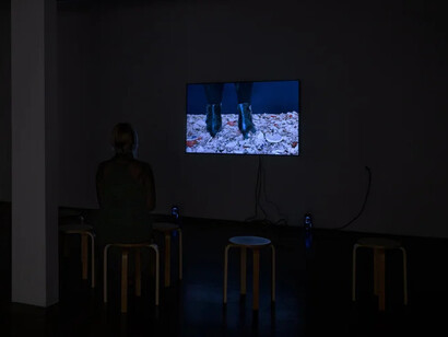 Anina Major, Moments of being, exhibition view. Courtesy of Shoshana Wayne Gallery