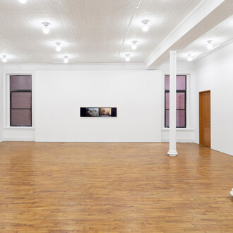 Various artists, Rare aesthetic, exhibition view. Courtesy of Tara Downs Gallery