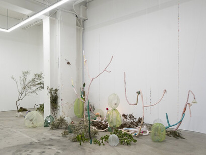 Sena Park, I touch the surface, we draw wild beauty, exhibition view. Courtesy of Enjoy Contemporary Art Space