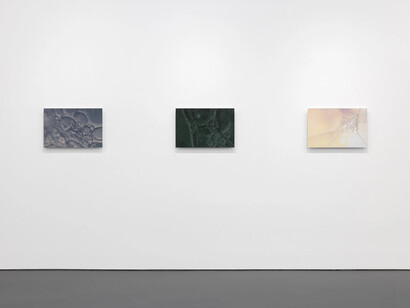 Tauba Auerbach, Easy assembly, exhibition view. Courtesy of Esther Schipper
