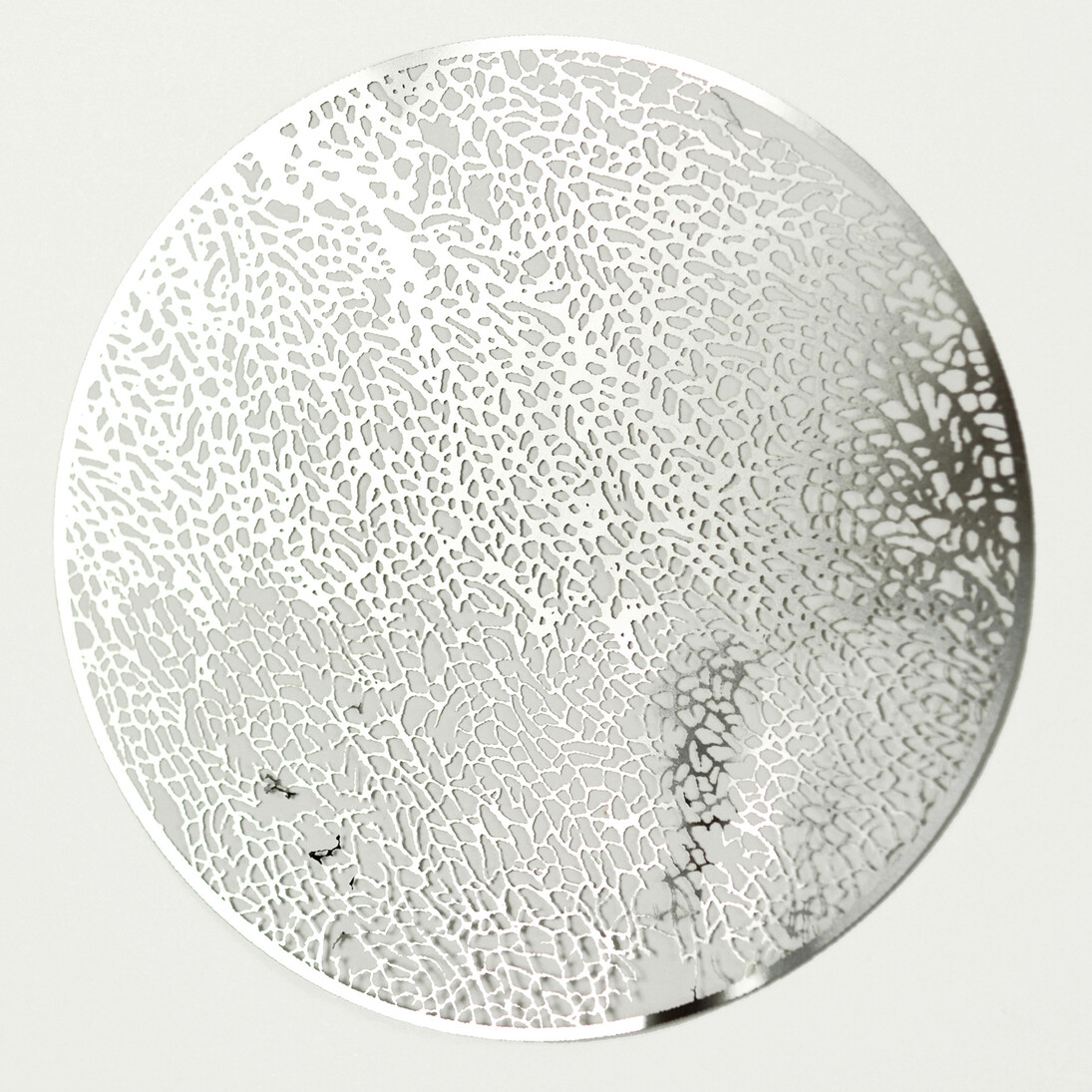 Shelagh  Wakely, coralwing, 2007, Cut
thin steel, 8 cm (diameter) © Shelagh Wakely. Courtesy Richard Saltoun Gallery and Shapero Modern