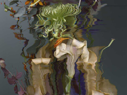 Sandra Kantanen, Untitled (Distortion 8) (detail), 2016. Courtesy of Norton Museum of Art