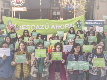 La oposición social se vincula no solo con los problemas en la implementación de los derechos de acceso, sino con la necesidad de discutir el modelo de desarrollo preponderante