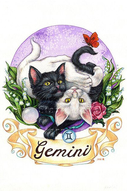 Gemini cats