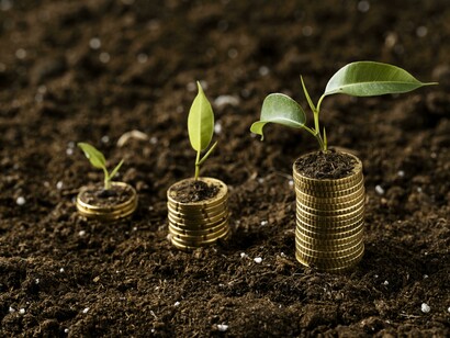 La inversión privada permite que la naturaleza crezca con fuerza