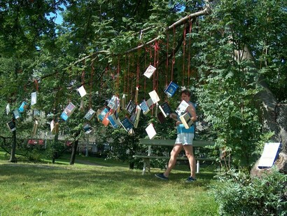 Libros en el parque