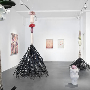 Paweł Matyszewski, Momentary organisms, exhibition view. Courtesy of Kogo Gallery