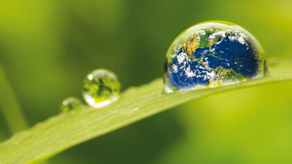 The Water in the World