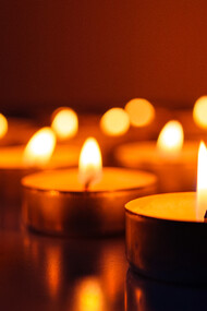 The culture of peace 