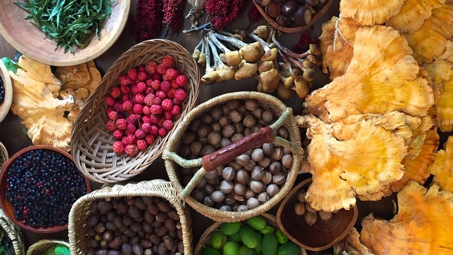 Wild foods