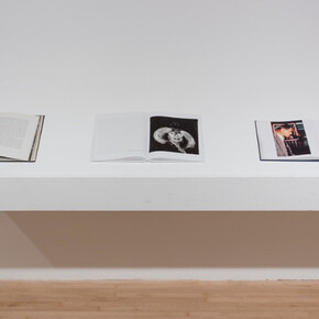 Real Worlds. Courtesy of MOCA