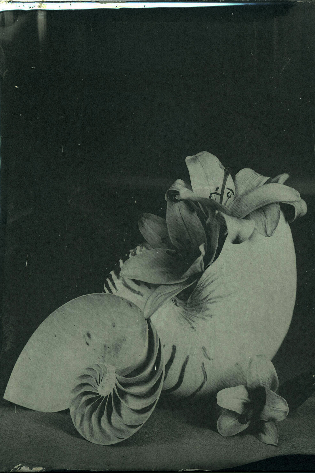 Giancarlo Pagliara, Ferrotipia