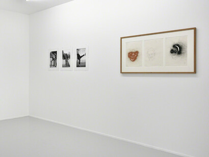 Ultra Polke. Courtesy of Galerie Suzanne Tarasieve
