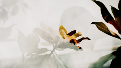 Humans are facing such a time of multiple changes at all levels 