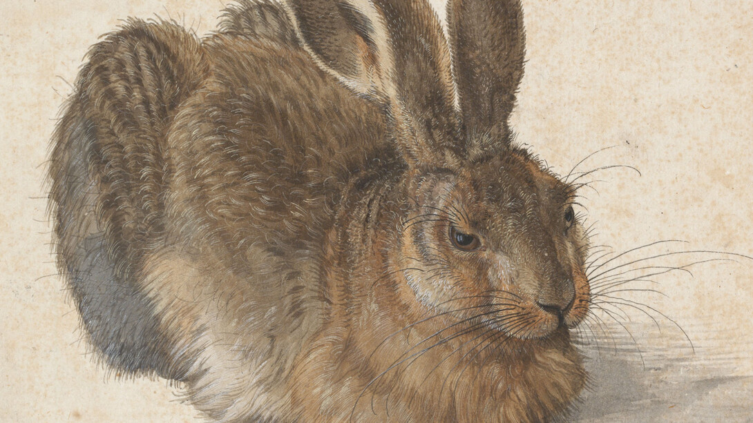 Albrecht Dürer. Courtesy of Albertina