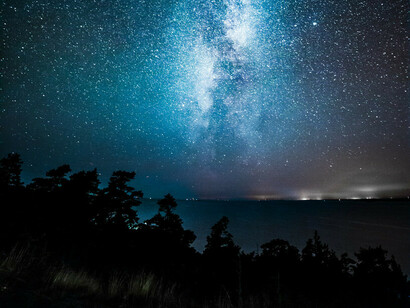 El objetivo de la ciencia es comprender cómo está organizado un sistema y cómo funciona