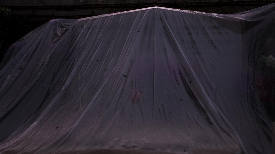Daniela Friebel, from the series Auspicia