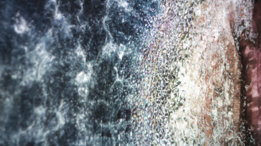 002. Courtesy of Whitestone Gallery