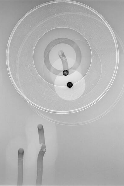 The body inside the body inside the body. Courtesy of Galeria 111