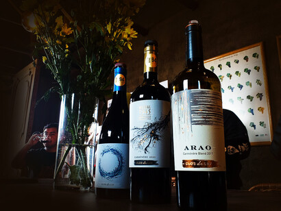 Botellas de vino de Clos de Luz, viña familiar donde sus cepas fueron plantadas hace 77 años, en 1945, siendo los más antiguos del Valle de Almahue, Chile