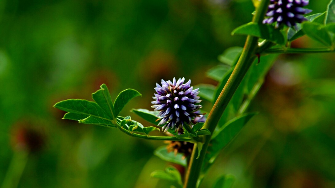 Lisa si lascia cadere sul divano, sfinita, e scopre che anche la seduta è rigida come la sua giornata