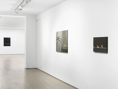 Chang Ya Chin, Finding Ewha, exhibition view. Courtesy of Perrotin