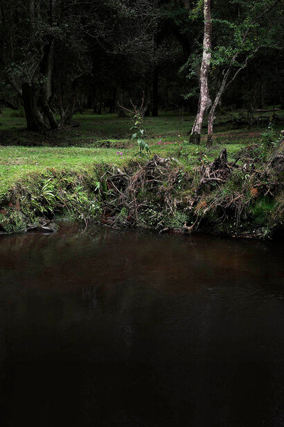 Detail of Ellie Davies ‘Half Light 5’, 2016