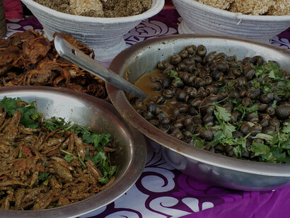 Tharu food is a rich blend of earthy flavors and local ingredients, reflecting the community’s deep connection to the land through dishes like dhikri, ghonghi, and fish curry cooked with traditional spices