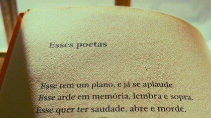 De poetas sin casa y casas sin poesía