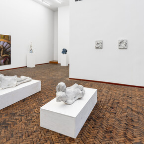 Johan Tahon ft. Michael Kirkham, exhibition view. Courtesy of Gerhard Hofland