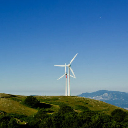 Le pale eoliche potrebbero avere qualche conseguenza negativa sulla fauna selvatica