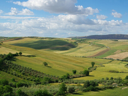 Campi di grano e vigneti. Ph Raffaele D'Oria