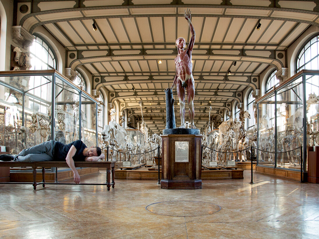 Ali Cherri. Courtesy of Jeu de Paume