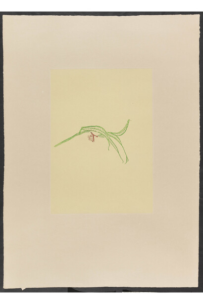 Thomas Schütte, Untitled, 2014, Approx. 58 x 80 cm (framed). Edition of 10. © Thomas Schütte, Courtesy Cahiers d'Art