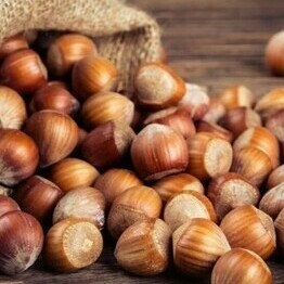 La nocciola Tonda Gentile delle Langhe