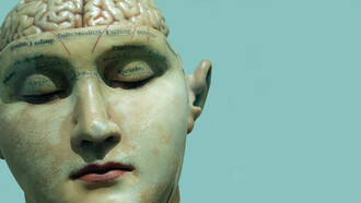 Hay muchas formas de inteligencia y también de inteligencia emocional