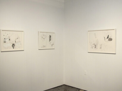 Maria Lynch. Courtesy of Wilding Cran Gallery