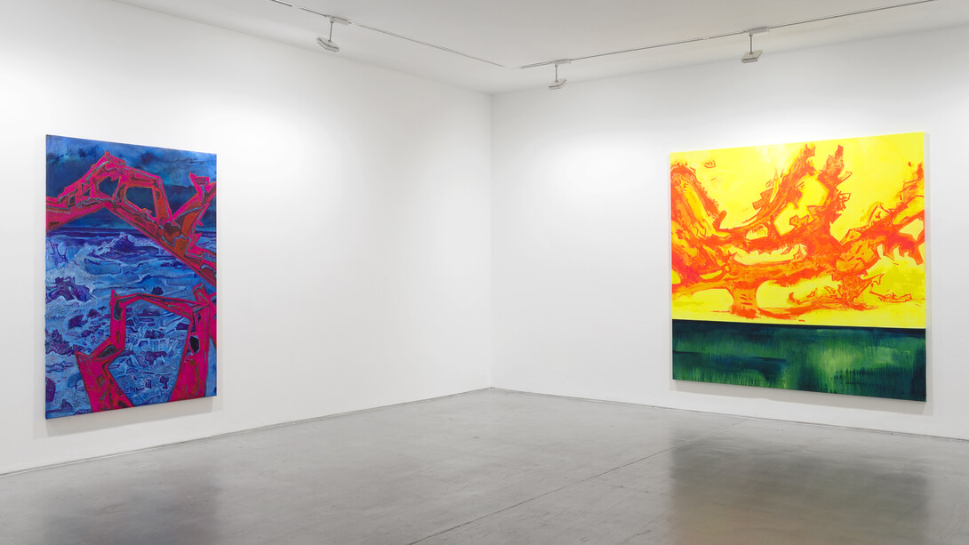 Courtesy of the artist & VNH Gallery Photo: Claire Dorn