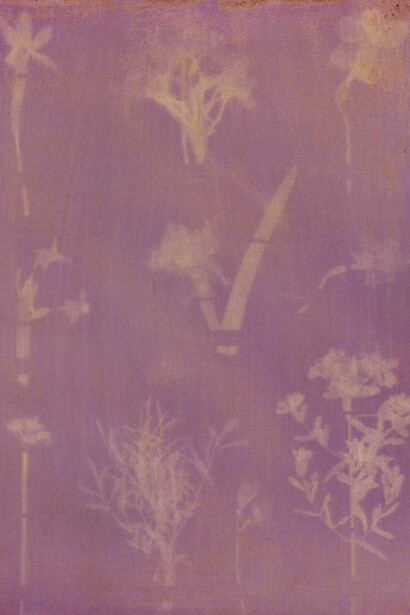 Amanda Marchand & Leah Sobsey, Black currant - Plate 57 (detail), 2023. Courtesy of Traywick Contemporary