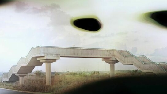 Sharon Ya'ari, Bridge with Flowers, Route 42, 2013, 60 x 74 inches, Edition of 5
