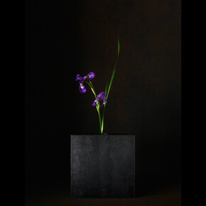 A Stage. Courtesy of Galerie marie-robin