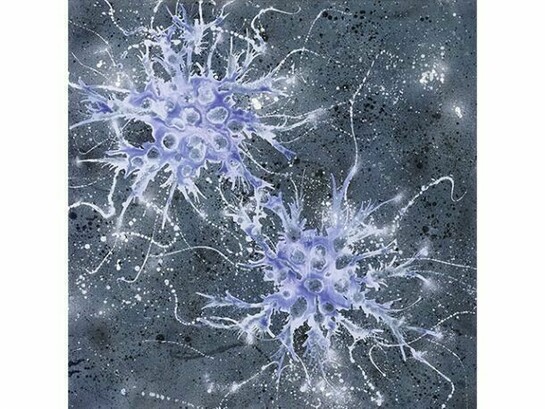 Campi magnetici, 2013, Acrylic on canvas, 31 1/2 x 31 1/2 inches , 80 x 80 cm © 2014 Alberto Di Fabio. Courtesy Gagosian Gallery