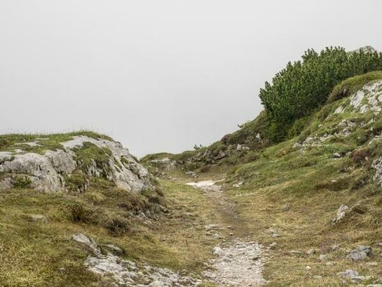 Stefano Cioffi, Croda Rossa, Sesto, m 2300 slm
stampa fotografica a pigmenti,
100 x 132 cm,   
luglio 2014
