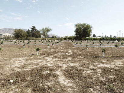 Vista general del Proyecto SIRIS con las diferentes tesis
