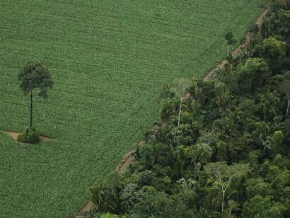 Amazônia